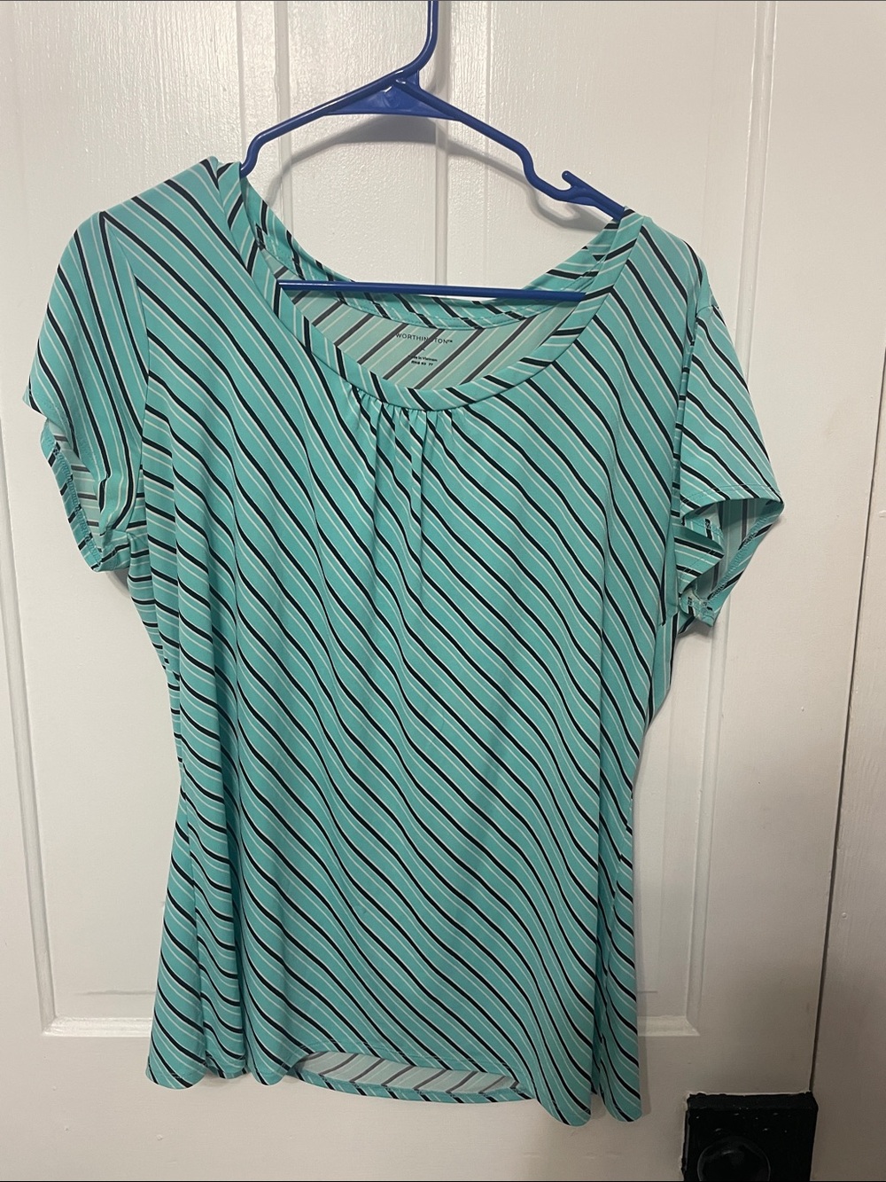 Worthington Mint Green and Black Striped Short Sleeve Top